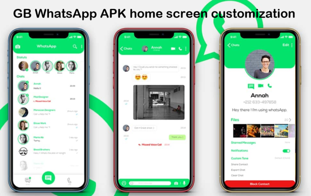 GB WhatsApp APK home screen customization
